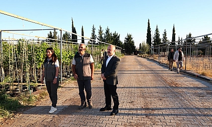 Vali Varol, orman fidanlığında incelemelerde bulundu