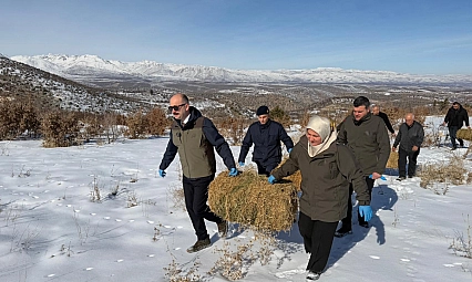 Yaban hayvanları için doğaya yem bırakıldı