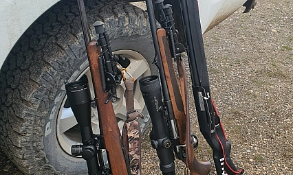 Yaban keçisi vurmanın cezası ağır oldu