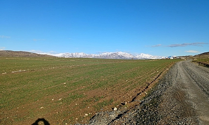 Yağışlar çiftçinin umudunu artırdı