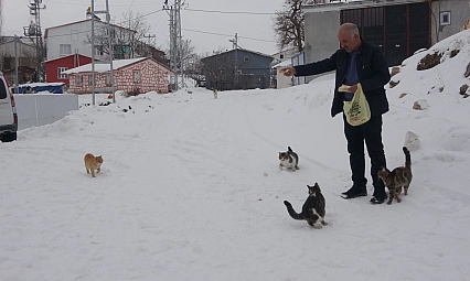 Yaklaşık 2 bin nüfuslu köyde kışın sadece bir aile yaşıyor