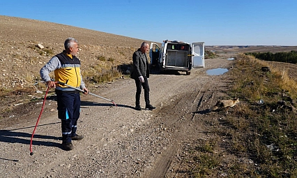 Yaralı tilki tedavisinin ardından doğaya geri bırakıldı
