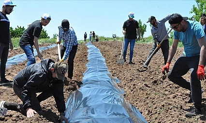 Yavuz'dan Ziraat Mühendisleri Günü Mesajı
