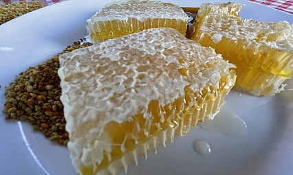 Yenice Ihlamur Balı Tescillendi