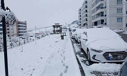 Yoğun kar Kulp'u esir aldı
