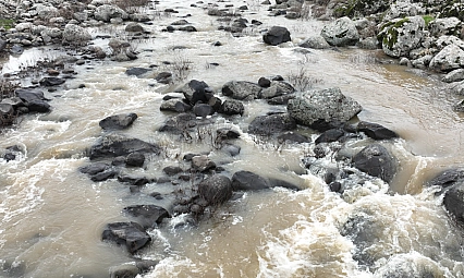 Yoğun yağışlar çiftçinin yüzünü güldürdü