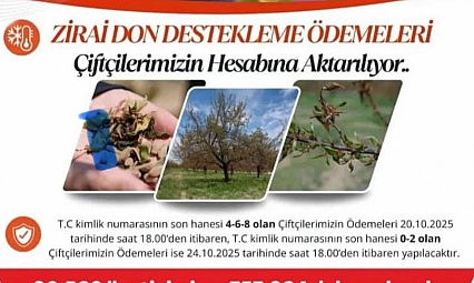 Zirai Don Destek Ödemeleri Hesaplara Aktarılıyor...