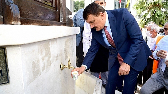 Kayısı Festivali başladı