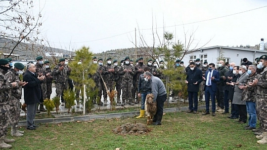 Malatya'ya döndüler