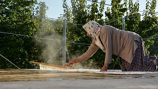 Asırlık lezzet dut pestili