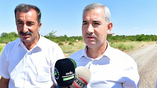 Çınar çalışmaları inceledi