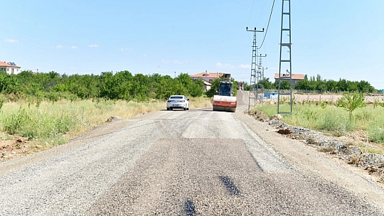 Çınar çalışmaları inceledi