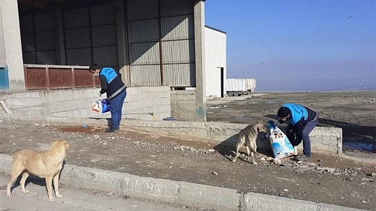 Sokak hayvanları unutulmadı