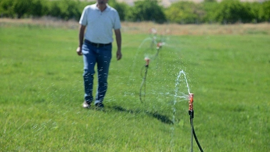 Büyükşehir çim üretecek