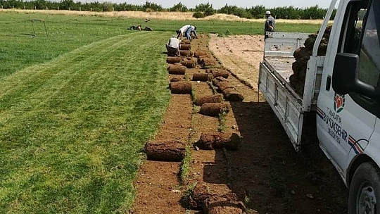 Büyükşehir çim üretecek