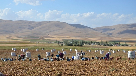 İyi verim alındı