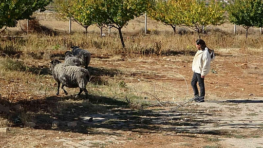 Hobi ile başladı hanım ağa oldu