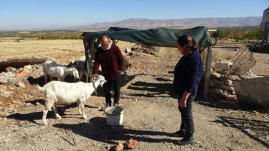 Hobi ile başladı hanım ağa oldu
