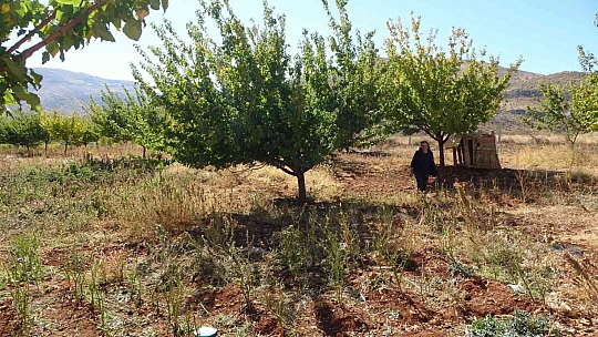 Hobi ile başladı hanım ağa oldu