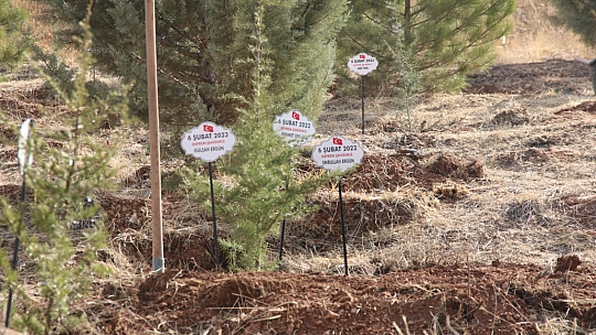 İsimleri hatıra ormanında yaşatılacak