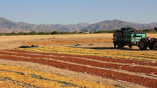 Malatya'nın yaralarına merhem olacak