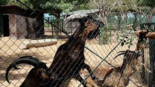 Bayramda öğrencilere ücretsiz