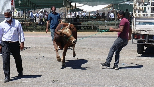 Hayvan Pazarı'nda Arefe yoğunluğu