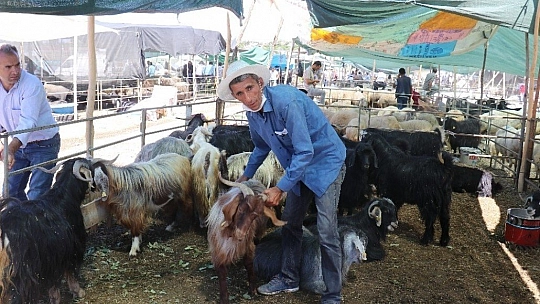 Hayvan Pazarı'nda Arefe yoğunluğu