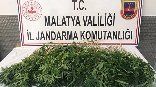 Kenevir ele geçirildi