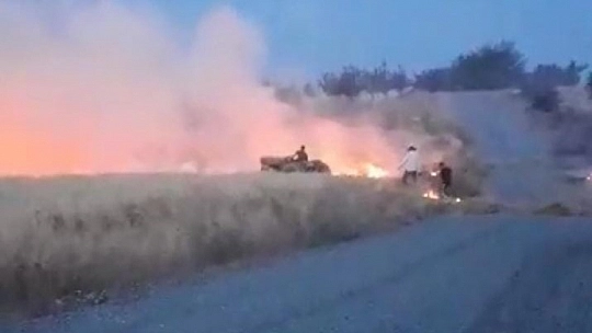 Tarlada korkutan yangın