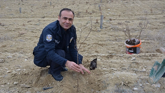 Şehidin anısına fidan dikildi
