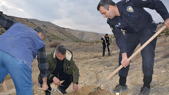 Şehidin anısına fidan dikildi