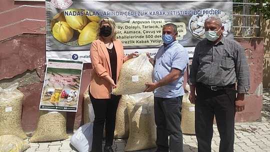 Çerezlik kabak
