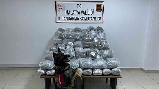 10 milyon TL değerinde uyuşturucu yakalandı