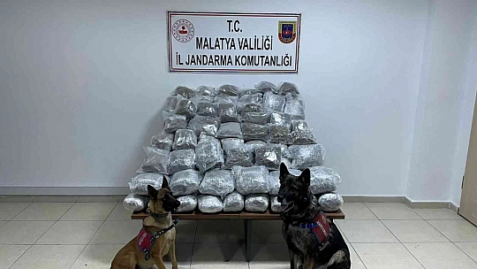 10 milyon TL değerinde uyuşturucu yakalandı