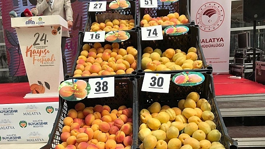 500 Milyon Dolar Bekleniyor