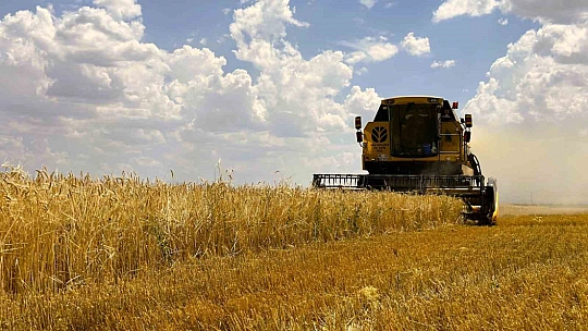 Malatya bereketleniyor