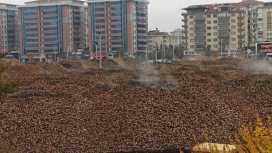 Son 30 yılın başarısı