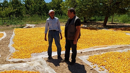 Fendoğlu'ndan üreticiye ziyaret