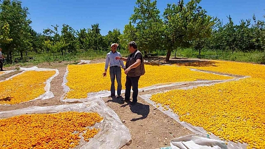 Fendoğlu'ndan üreticiye ziyaret