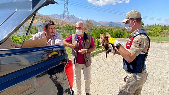 Jandarma şefkati