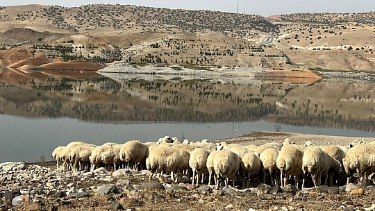 Yaylalardan zorlu dönüşler sürüyor