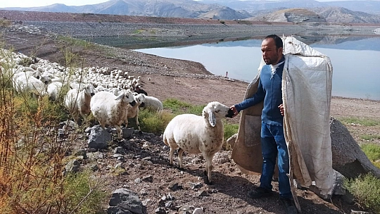 Yaylalardan zorlu dönüşler sürüyor