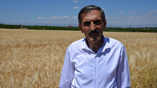 2,5 kat daha verimli
