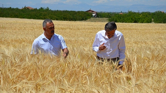 2,5 kat daha verimli