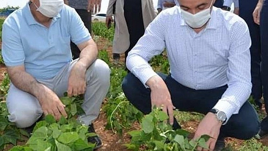 Tarımsal üretim beğenildi