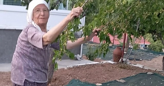 'Dutlar heba olmasın' dediler! Malatya'da 85 yaşındaki çift pekmez mesaisinde