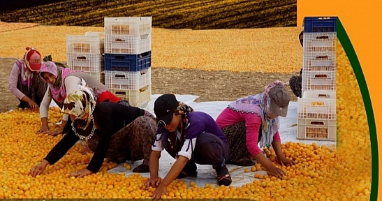 Malatya'da büyük yarışma! Birinciye 200 bin TL ödenecek…