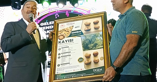 Malatya'nın yeni tarım yıldızı: Zengibar Cevizi dünya çeşitleriyle yarışıyor