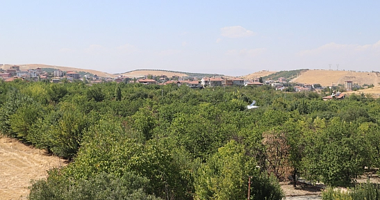 Resmi Gazete'de yayımlandı: Belediye talep etti, Kurul reddetti